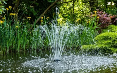 How to Control Erosion in Lakes & Ponds