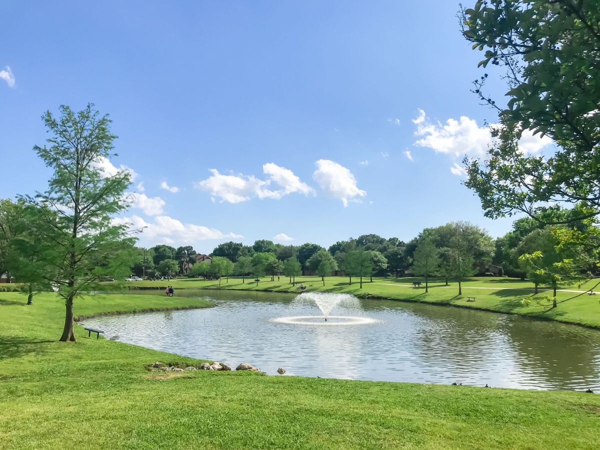 a fountain in a pond